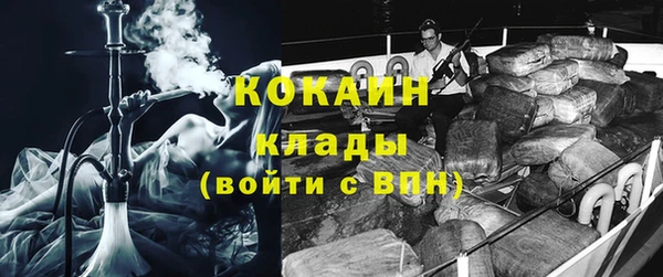 ECSTASY Алзамай