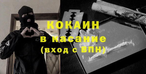 ECSTASY Алзамай