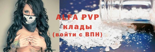 ECSTASY Алзамай
