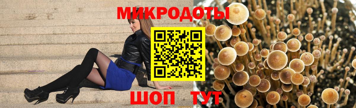 Пермь  Псилоцибиновые грибы прущие грибы  Вход с VPN 